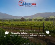 Stretching from the Cape Winelands to the Klein Karoo, this gorgeous route is one of South Africa&#39;s most renowned attractions and an important aspect of their agricultural industry. Explore the wine route and other parts of South Africa with Mollysonfrom south africa ponno sex