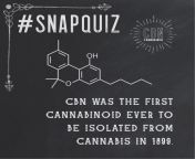 CBN Snap quiz! What do you use CBN for and how has it helped you? from cbn hj