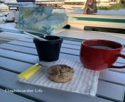 Sunday Morning Smokethis week were on the Old Dogs Ship for our SMS on PBL. Fresh Cannamuffin, Fresh Coffee, Fresh Spliff and were Good to Go, right on ? from spliff