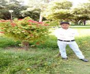 Lalbagh Botanical Garden, Karnataka from karnataka hassan
