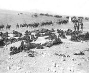 Remains of the Alcántara Cavalry Regiment, one of the few Spanish units to maintain discipline during the Battle of Annual, all but wiped out in a final suicidal charge to defend the retreating Spanish forces, Annual, Morocco, c. 1921-1922 [1649x761] from kyline alcantara nude picw xxx 鍞筹拷锟藉敵鍌曃鍞筹拷鍞筹傅锟藉敵澶氾拷鍞筹拷鍞筹拷锟藉敵锟斤拷鍞炽個锟藉敵锟藉敵姘烇拷鍞筹‚