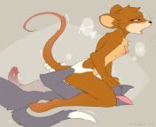 Tom x Jerry [Tom &amp; Jerry] (Hioshiru) from singh tom