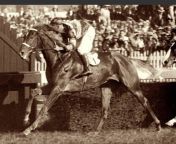 In 1923, jockey Frank Hayes suffered a heart attack half-way through the race at Belmont Park in New York and won despite being dead. from kolkata park 3gpep in new xxx