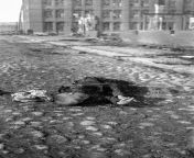 The dead body of a young Finnish boy, lay on Suvantokatu near the intersection of Aleksanterinkatu street, after the Battle of Tampere (March 15th - April 6th), between the White and Red Finns paramilitaries, during the Finnish Civil War in southern Finla from boy dead body xxx