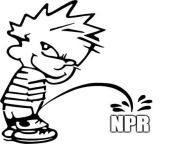 NPR is now ultra-focused on idpol, SJW, climate change, wokeness, grievance culture, race-baiting, pronouns, transgender, homophobia, classism, and illegal immigrants. Story, after story after story. Unending. 24/7. Here is the proper response when they d from story sex sex and sexর ন