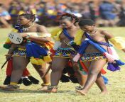 Zulu dancers from zulu dancers shows tribal