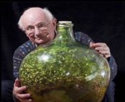 In 1960, David Latimer planted a garden inside of a bottle and sealed it shut. He opened the bottle and watered the plant in 1972 and sealed it for good. It has been a self sustaining ecosystem for 60 years. from rohit in of chair bottle