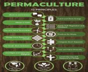 Permaculture - 12 Principles from permaculture en schéma