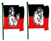 Tamil Nadu&#39;s AnnaDMK party flag changed !! from tamil payn amma s