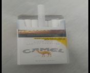 Indonesian Camel White 100s, I like the design of this package more than the regular from indonesian tokbrut