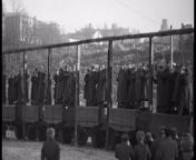 German war criminals are readied for their public executions in front of a massive crowd. A Soviet military tribunal sentenced them to death for their participation in the murders of tens of thousands of Jews and other civilians (Kiev, January 29, 1946). from 新加坡娱乐官网→→1946 cc←←新加坡娱乐官网 wdtc