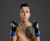 UFC fighter Jeff Molina has just been ousted on video giving head. What do you think this means for his career? from vídeo yanina molina no vide
