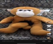 Trying to find this monkey online but no luck, I was told the Penis museum in Iceland but no luck from iceland hd walpaper