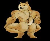 Thicc ass doge Template, by @je_meme_pas from doge girle xxxq