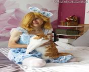 You can&#39;t beat the trap, kitty and lolita combo ;p from rosalina p