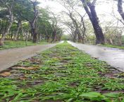 [M4F] Cavite area fubu kakababa ko lang ng barko hanap sana ka fubu may bacoor ba dito from fubu mahiyain