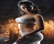 Thamanna from actor thamanna nude lesb