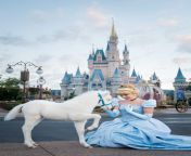[50/50] A dressage rider trampled by her own horse (NSFW) &#124; Cinderella meeting an albino foal at Disney World (SFW) from dressage