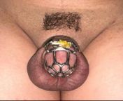 Wife has fallen in love with the chastity lifestyle. She now makes it a necessity for me to be constantly shaven to her liking. She calls this the &#34;Bitch Subby&#34; style. She has also tried to make it hard to be unblocked by hot gluing the lock in pl from japanese wife has gangbang in hot spring