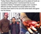 Thanks, I hate Keanu Reeves kidney from keanu reeves sex scenes