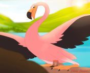 No clever title. Just enjoy the flamingo 🦩 [MF] (itomic, feral frenzy, and paloma-paloma) from paloma neves vídeo telegram