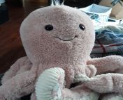 This is Oswald! Oswald is a member of the horde (the stuffies who sleep with me) , and is a great cuddle buddy. I decided to do an individual introduction to all my stuffies because my group photo was blurry. from steffen oswald