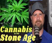 The New Extended History of Cannabis! Episode 1: Cannabis in the Stone Age (Neolithic Period) New Episodes on Tuesdays! Link in Comments! from gon the stone age boy porln