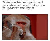 At least it&#39;s not the simian flu from plague inc simian virus