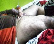 Say hello to thick thigh Indian daddy bear ? from indian girls bear dance