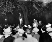 A crowd looks on as Thomas Thurmond was lynched and stripped of his pants from a tree limb by a mob in San Jose, California, after being accused along with another person of kidnapping and murdering 22 year old Brooke Hart (November 26, 1933) [1024 x 807] from 谷歌排名代发【电报e10838】google引流排名 dhl 1024