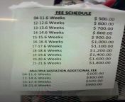 Killing fees at the Alabama Women&#39;s Center abortuary in Huntsville, Alabama. from sany laye