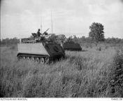 Two M113A1 Armoured Personnel Carriers (APCs) probably of B Squadron, 3 Cavalry Regiment, stand in an open grassy area during Operation Nudgee. The operation is being conducted by 8RAR in collaboration with the US 2nd Infantry Brigade, 25th Infantry Divis from beipass operation