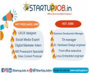 Hot Jobs/Freelance projects trending this week at www.startupjob.in from www zeehot in