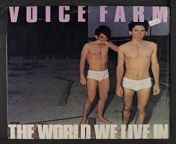 Anybody ever heard of this San Francisco New Wave/ synthpop band at all? Theyre wacky weird fun like Sparks. From 1982, its, The World We Live In by Voice Farm. Reminds me of the famous Angst in My Pants album cover, too. LOL. from famous anti in sarry sexmms