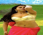 Nsfw Shriya Saran Hot Navel r/IndianCelebImages from south indian actress namita sex videoctress shriya saran hot nude