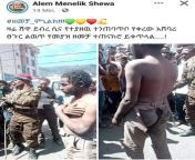 Yes Tigrayan considered enemy in Amhara region since the last 5 years or so . Tigrayans are being arrested based on their ethnicity across Ethiopia. In Amhara region mob Violence is imposed against ethnic Tigrayan residents in Debresina #Amhara region from ethiopia oromoo seksii
