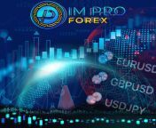 Improforex.com your forex trading partner from forex trading money