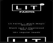 is this legit lit farms is bringing back Black Magic Woman from black magic woman movie sex