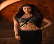 Kajal Agarwal Navel from tamil actress monal gajjar nude pics mansi naikww kajal agarwal xxx videos pg school girl principal