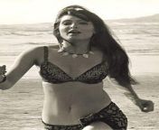 Zeenat Aman from bollywood actress zeenat aman navel image