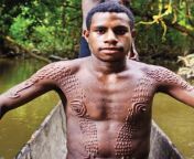 Initiation scars Crocodile clan Papua New Guinea from papua new