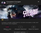 Cocaine Cougar (2023), a Black Cougar high on cocaine escapes an animal testing facility and wrecks havoc on Los Angeles. from cougar geeta
