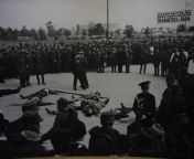 The bodies of 9 members of the pro-Nazi Iron Guard are publicly displayed after their summary executions. The men were responsible for assassinating Prime Minister Armand C?linescu. The poster in the back reads &#34;From now on, this shall be the fate offrom prime minister xxx