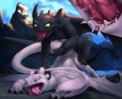 Toothless and the Light Fury by karukuji [M/F] from toothless and astrid have sex
