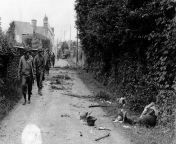 Soldiers of the 35th Infantry Division walk along the Rue du Chêne Dancel in the French village of Saint-Georges-Montcocq (Saint-Georges-Montcocq, a northern suburb of Saint-Lo) past the bodies of dead Wehrmacht soldiers. July 1944 from les élèves de saint georges kinshasa