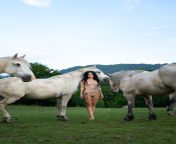 Nude girl and horses, by Bo Photographs from adi basi nude girl