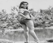 1960s Dawn Wells from dawn wells actual naked