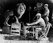 Year: 1928 Ever wonder how MGM, or Metro-Goldwyn-Mayer, filmed its iconic lions roar for its opening credits? Well, in 1928, for MGMs first talking movie White Shadows in the South Seas, the crew set up a sound stage around the lion and recorded his roa from the lion