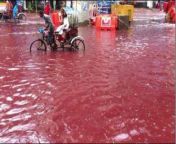 Islamophobes and far right groups are sharing pictures like this. Claiming so many animals are getting slaughtered that the streets are running with blood in some cities. This is of course total nonsense, but what exactly is going on in these pictures. No from seal pack chut ki chudai with blood 3gp video comindian xxx bea