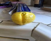 OC. My Lemon Tree provided us a lemon that strongly resembles a Whoha. from www sunny lemon sex video com Ã¯